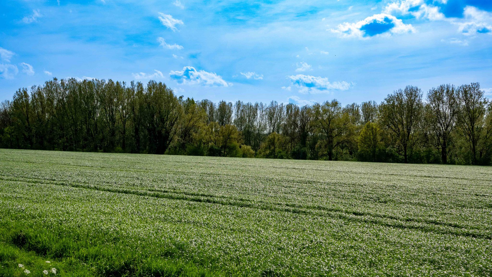 Lente-kleuren