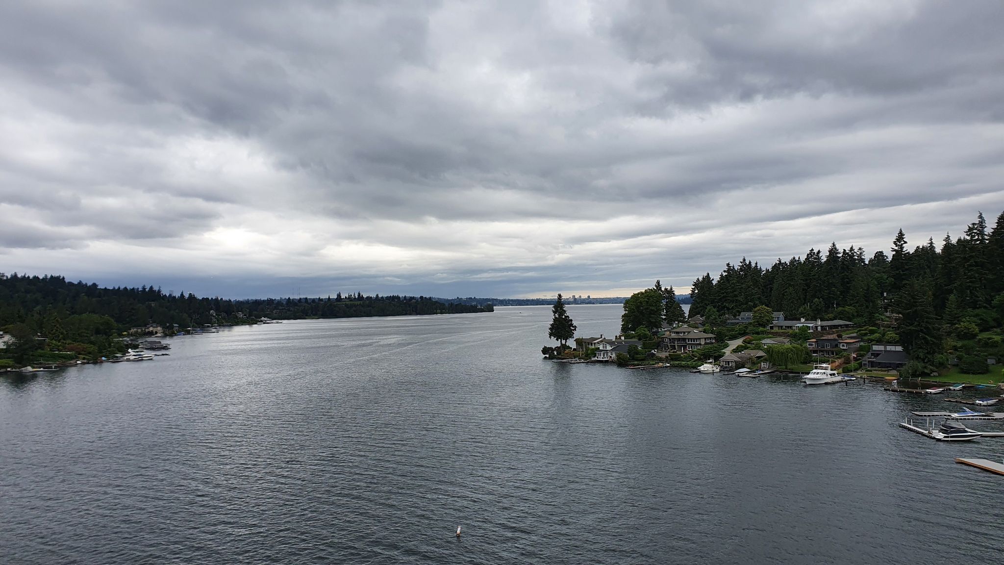 Wide body of water with forested shores, houses, and a cloudy sky. - Lake Washington Loop