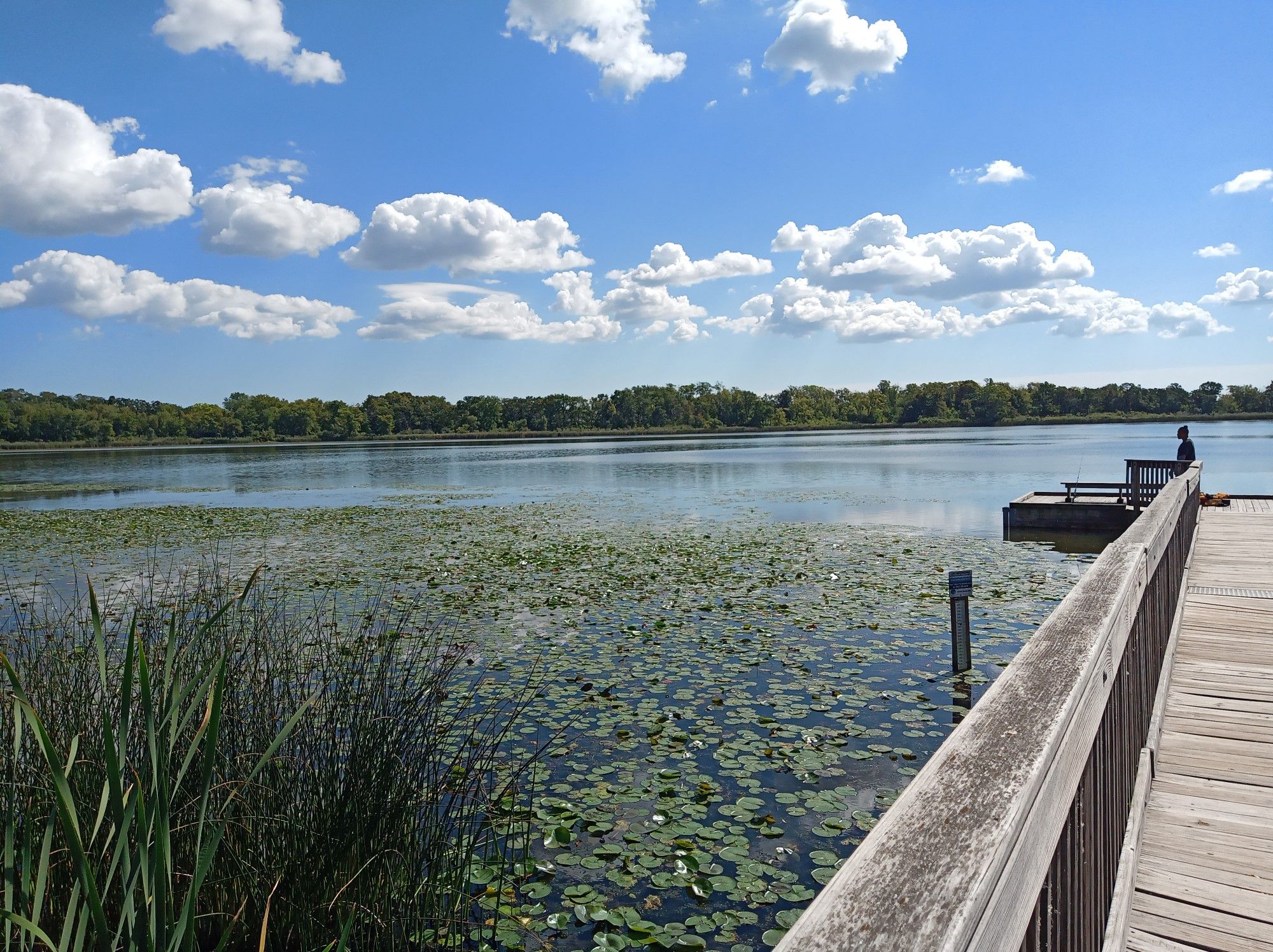A person sits on a boardwalk bench overlooking a lake with lily pads under a cloudy sky. - Hastings Lake Loop
