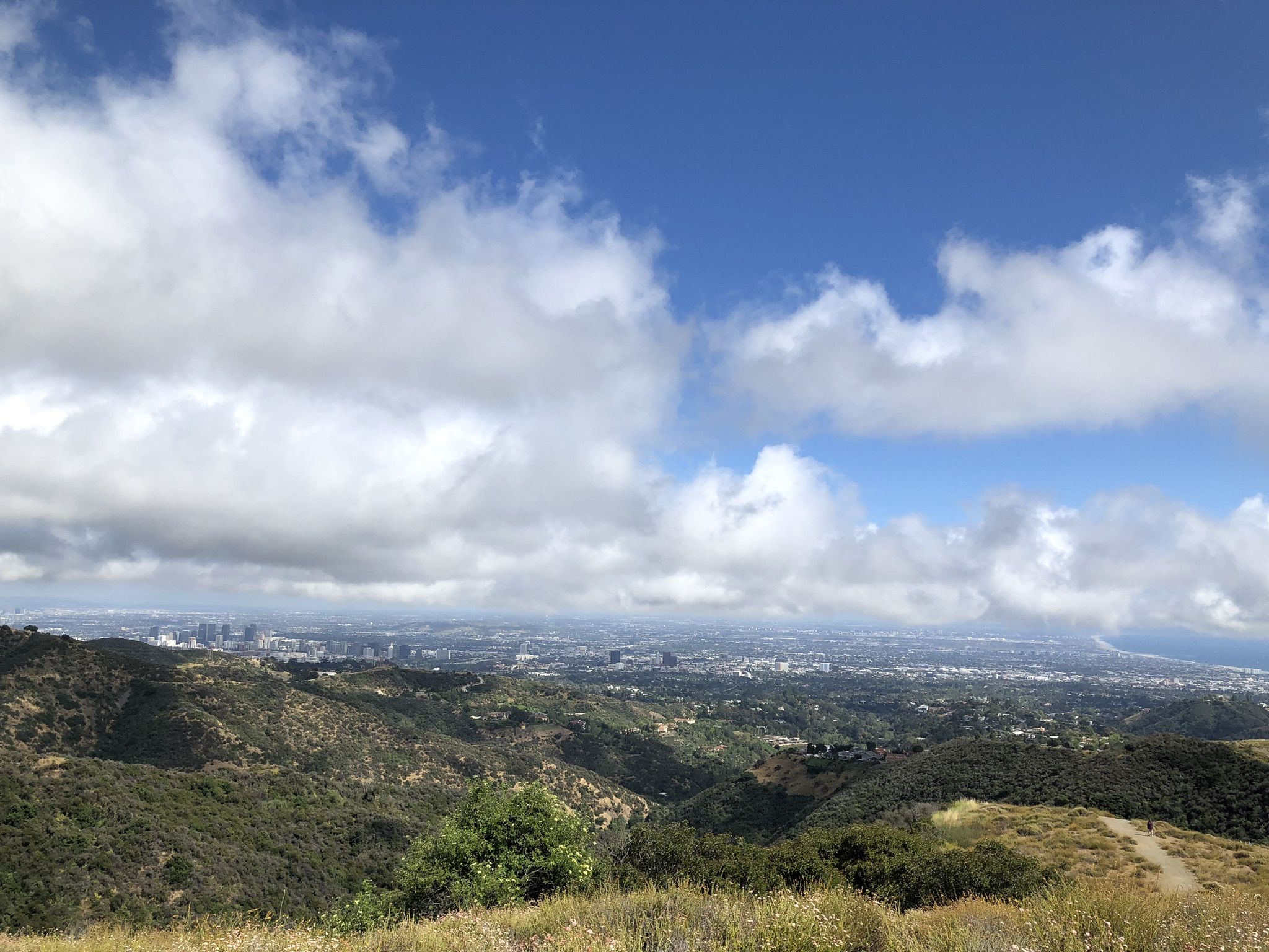 Panoramic view of a distant city skyline over green hills under cloudy sky. - West Mandeville Ridge Trail Loop