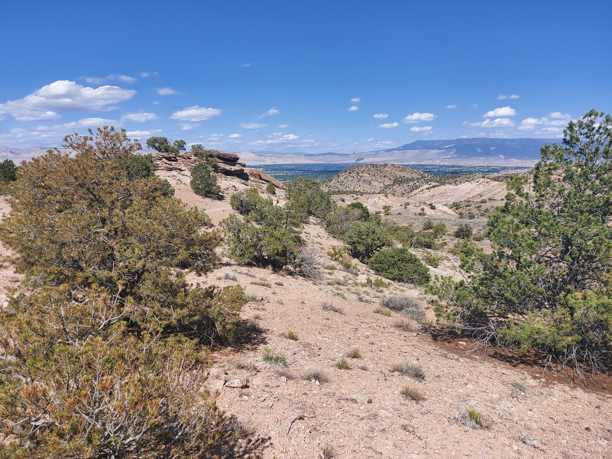 Sunny desert landscape with sparse trees, distant valley, and blue sky. - Gunny Loop Trail