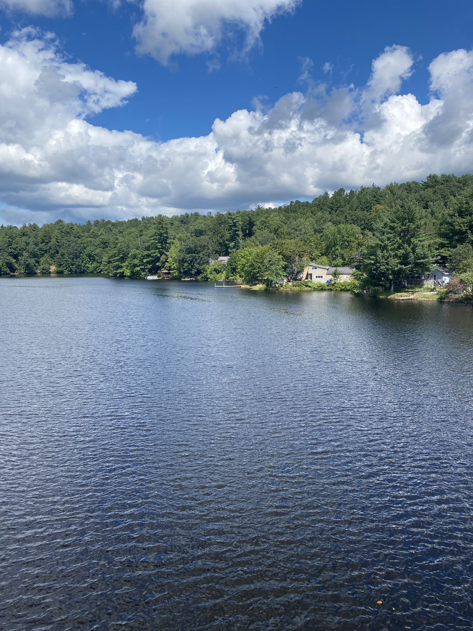 Sunny lake with ripples, surrounded by green trees and houses under blue sky. - Goffstown Rail Trail
