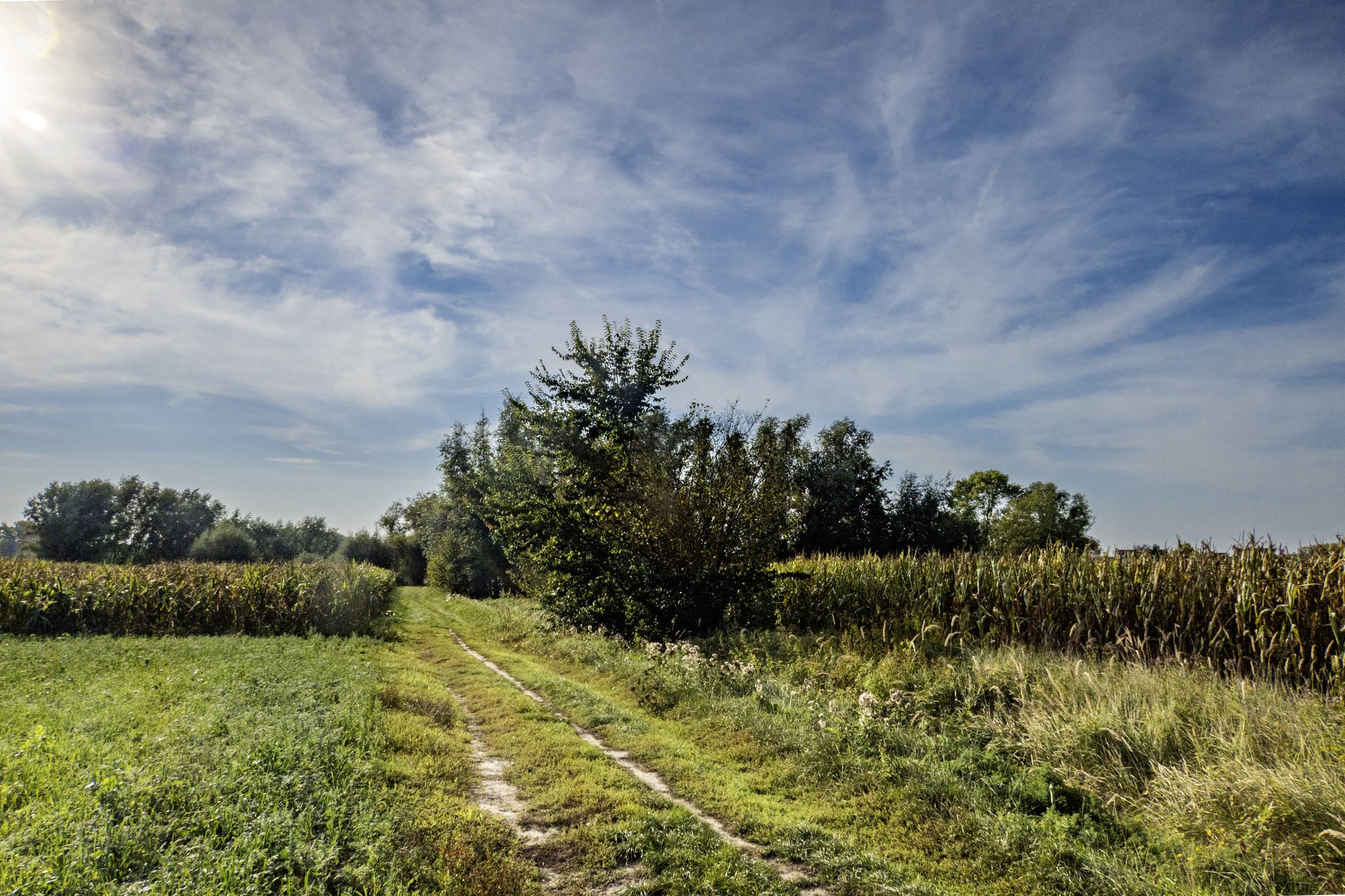 Broelveld, Munte