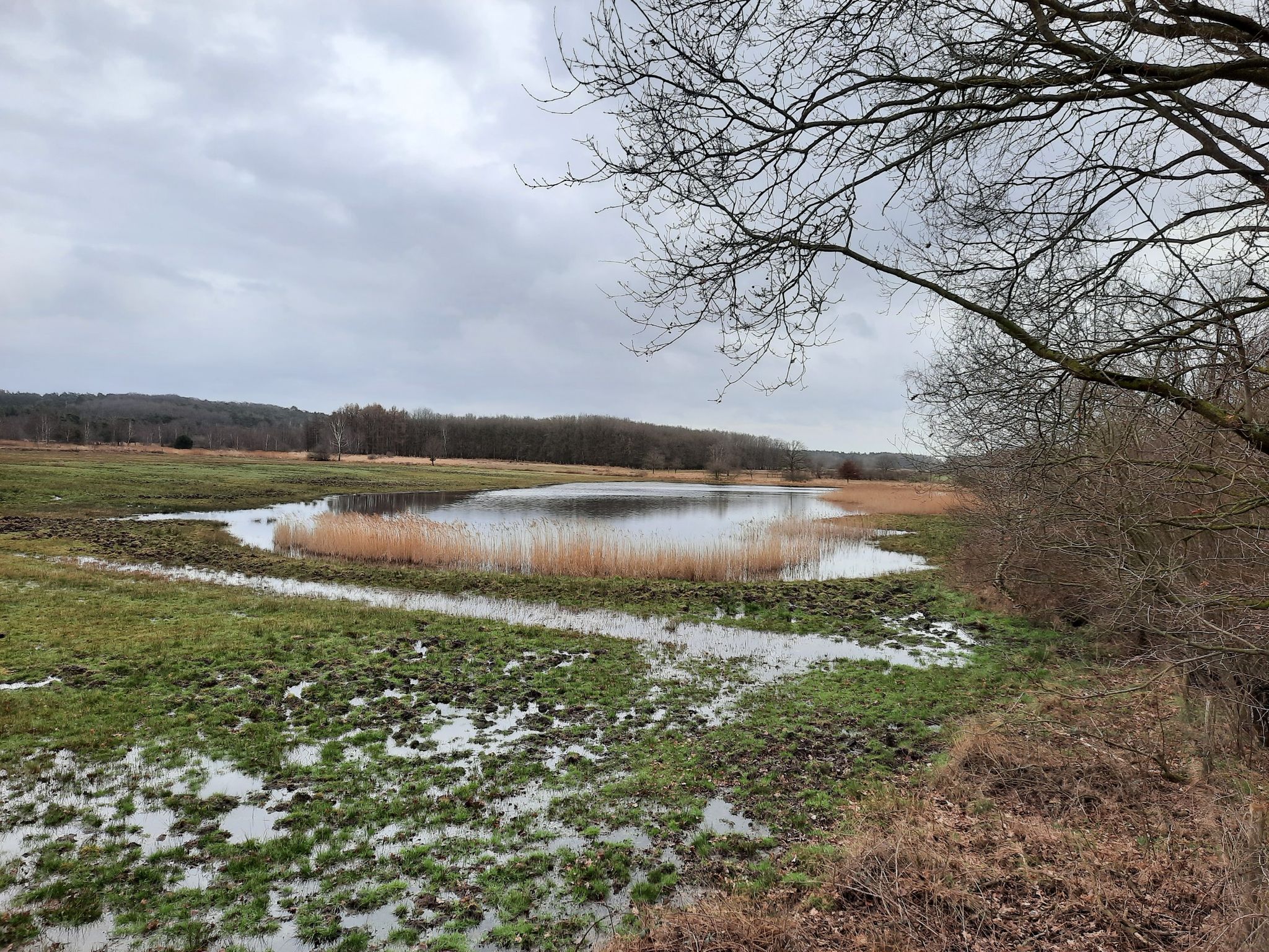 Moorlandschaft