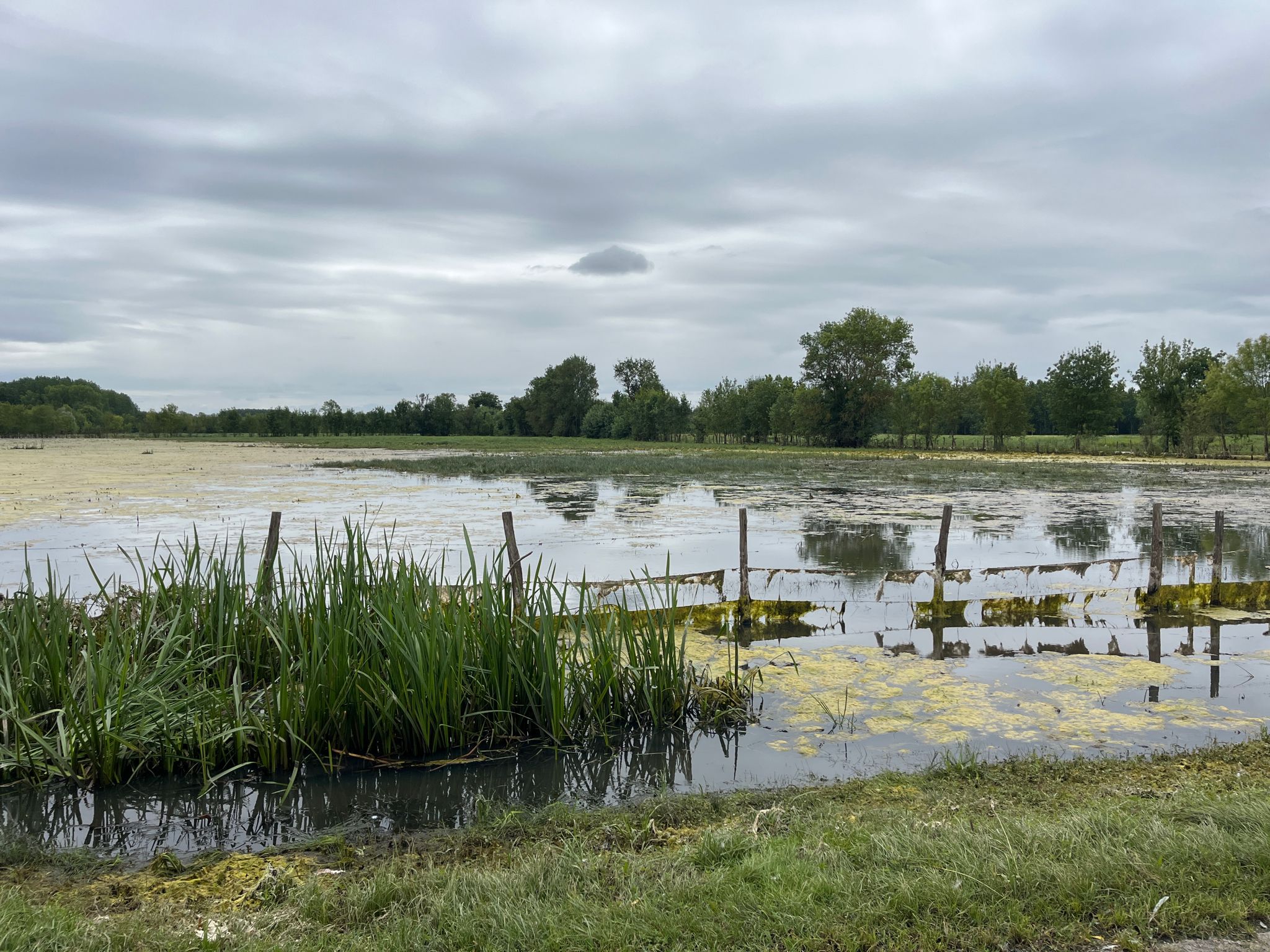 Inondations près d'Avoine.