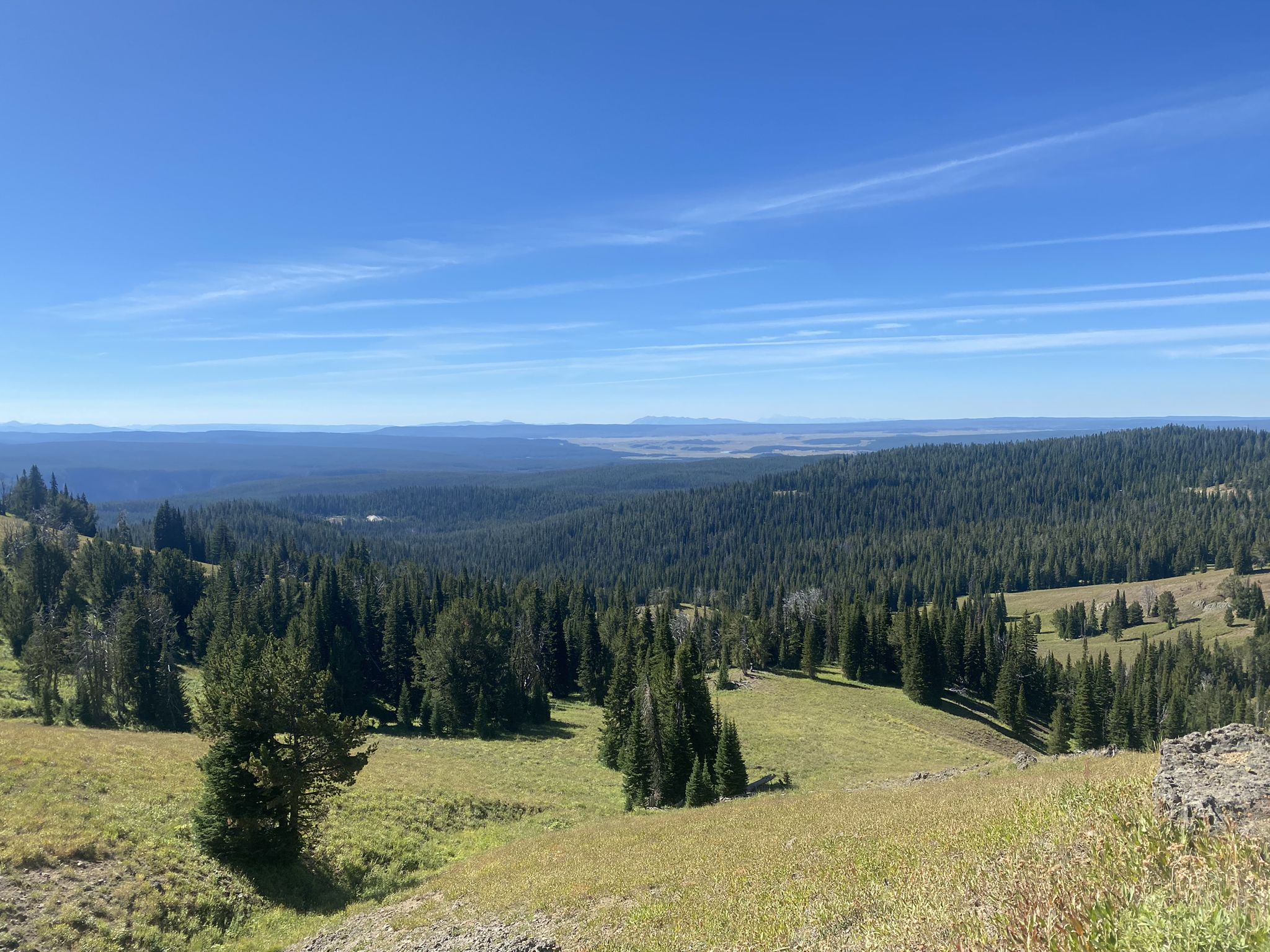 Vast forest valley and distant mountains under a clear blue sky. - Mount Washburn Trail