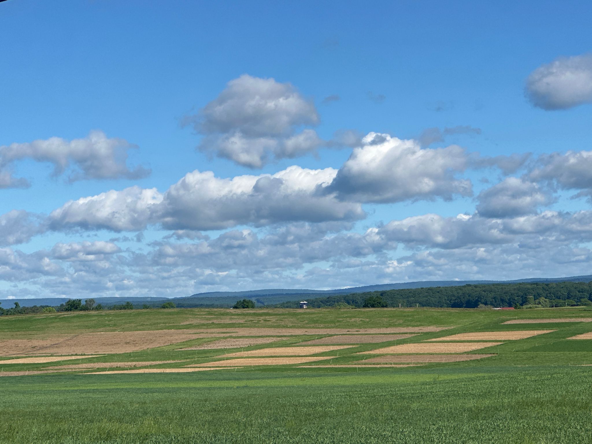Patchwork fields under a bright blue sky with fluffy white clouds. - Llama loop