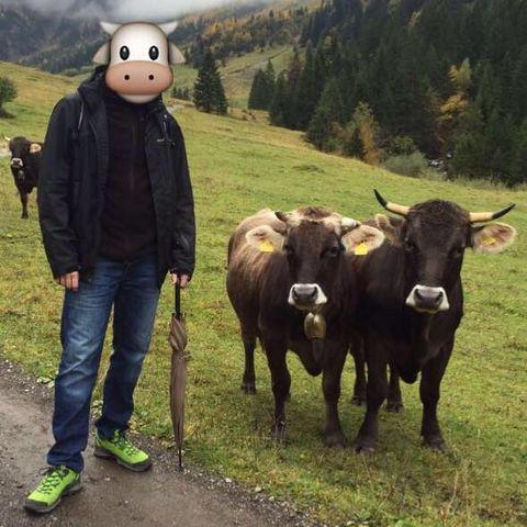 user avatar