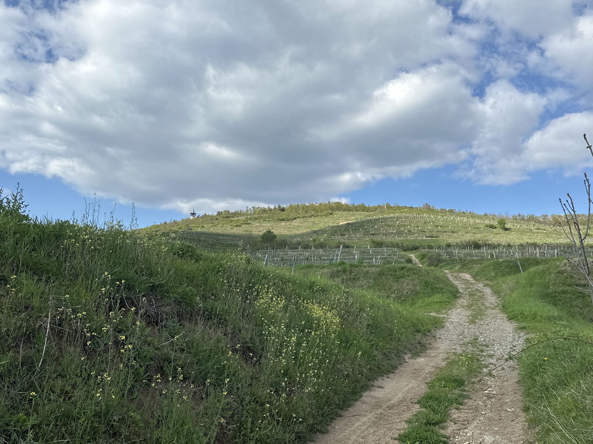 Da wäre ich gerne… 🚴‍♀️🤩