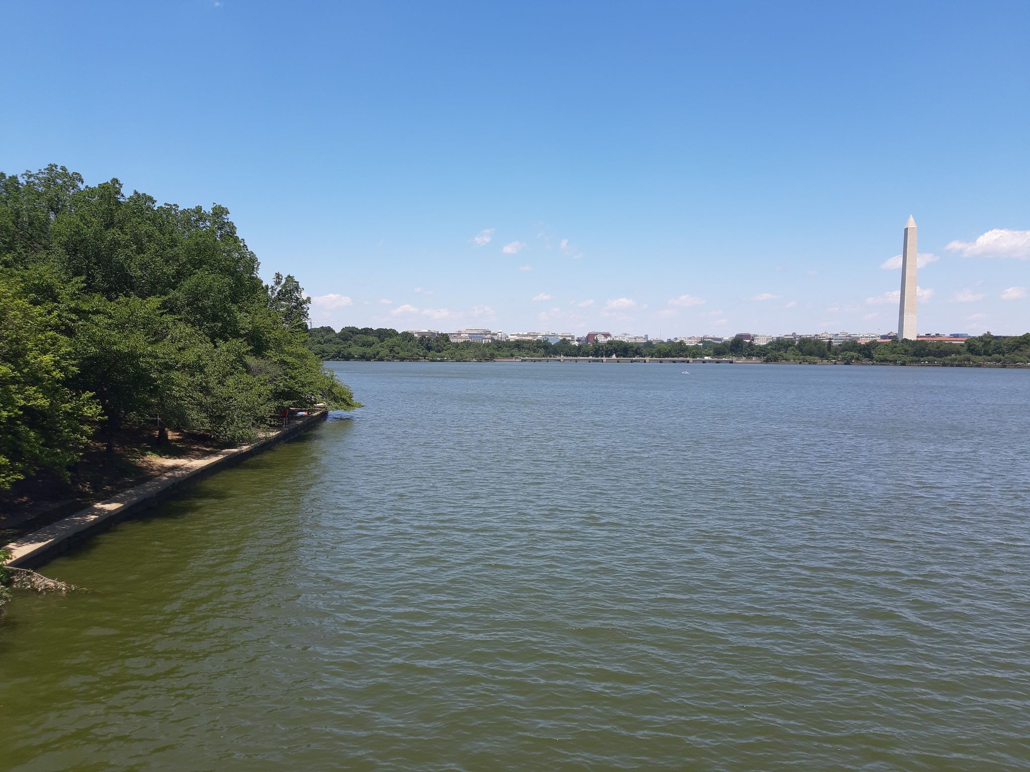 A wide lake with green trees on the left and a distant tall monument. - Memorial Trail via Jefferson Memorial