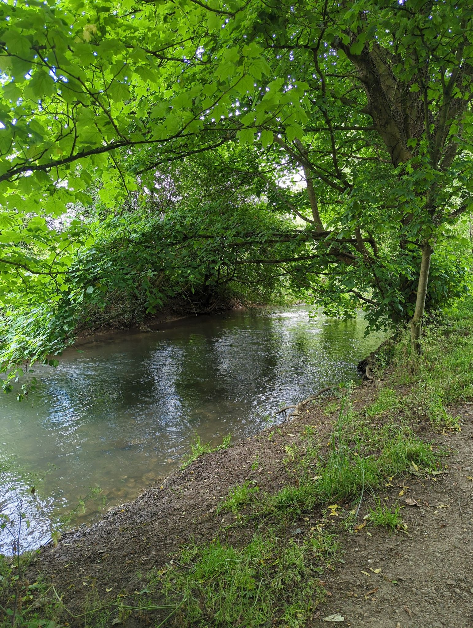 Windrush River