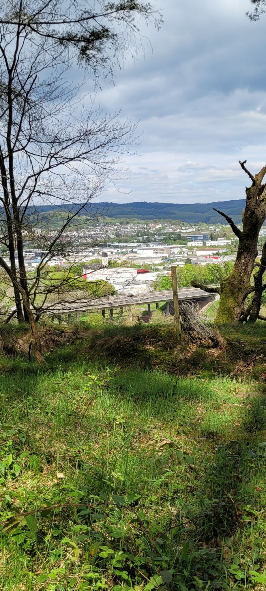 Blick auf Wittlich und Autobahn