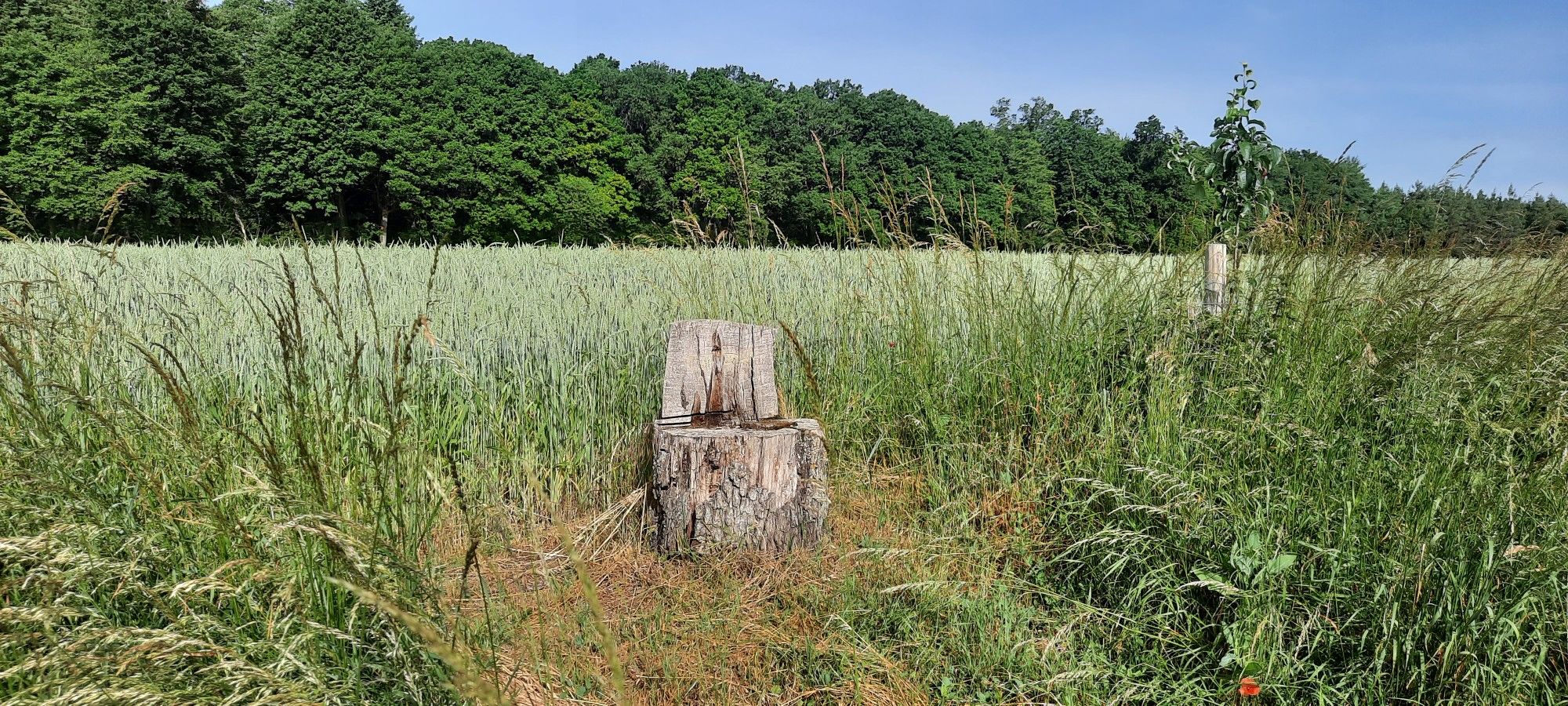 Sitzplatz mit Aussicht