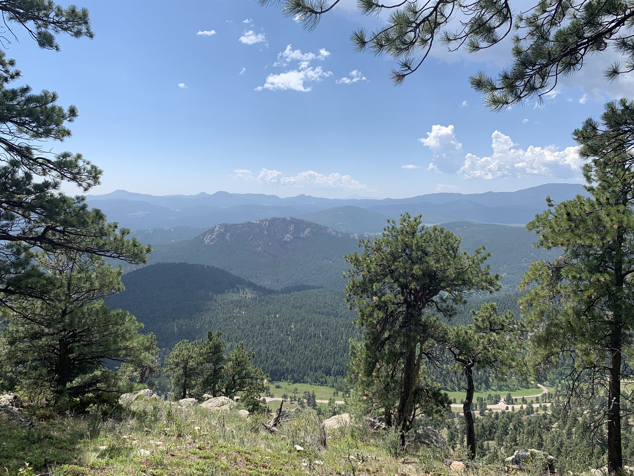 Sunny mountain vista framed by pine trees, with a forested valley below. - Bergen Peak via Meadow View and Too Long Trail Loop