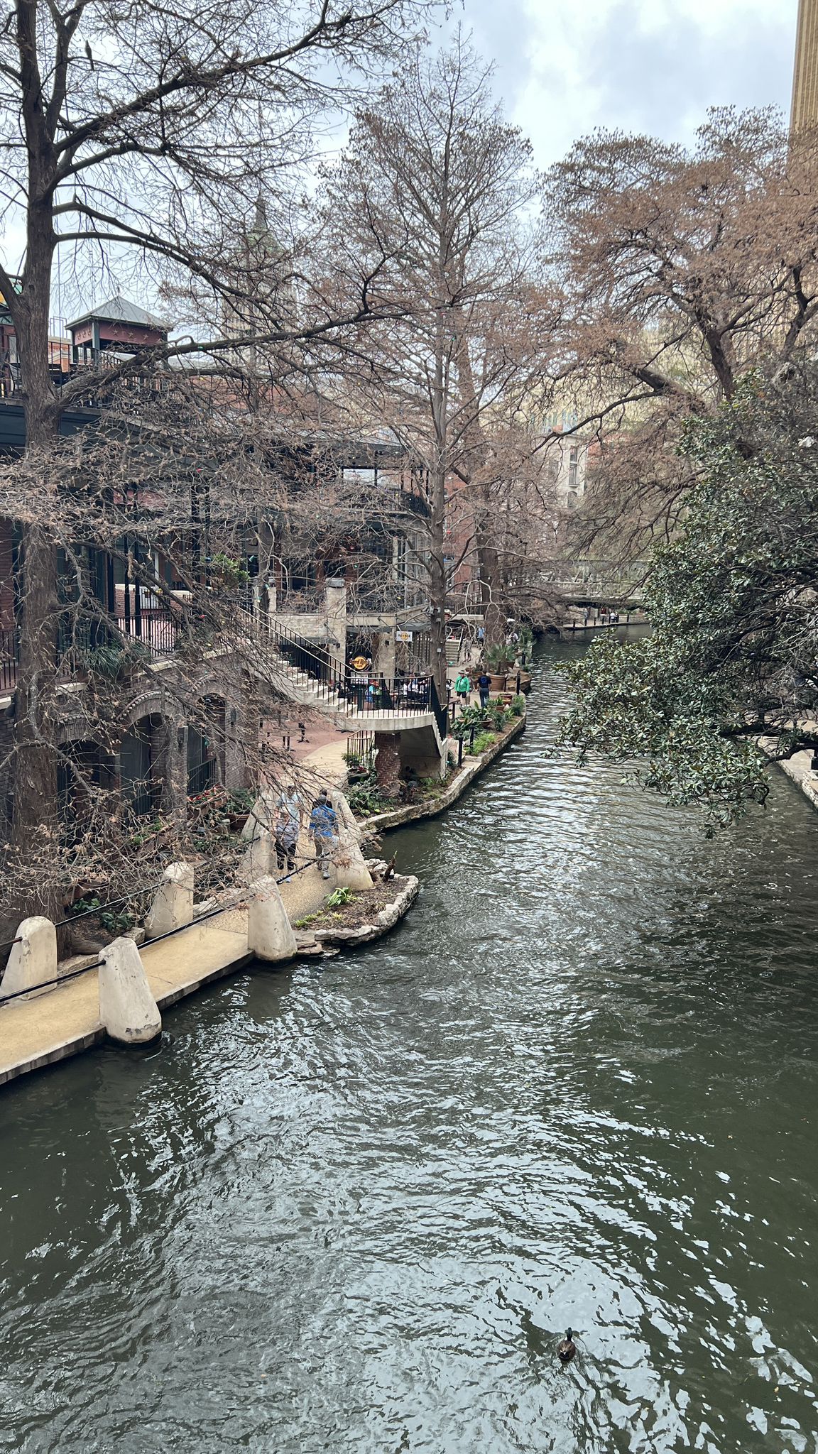 Winding river with bare trees, buildings, and people on an overcast day. - Mission Espada – Mission San Juan Capristrano loop from San Antonio Zoo Eagle Train Station