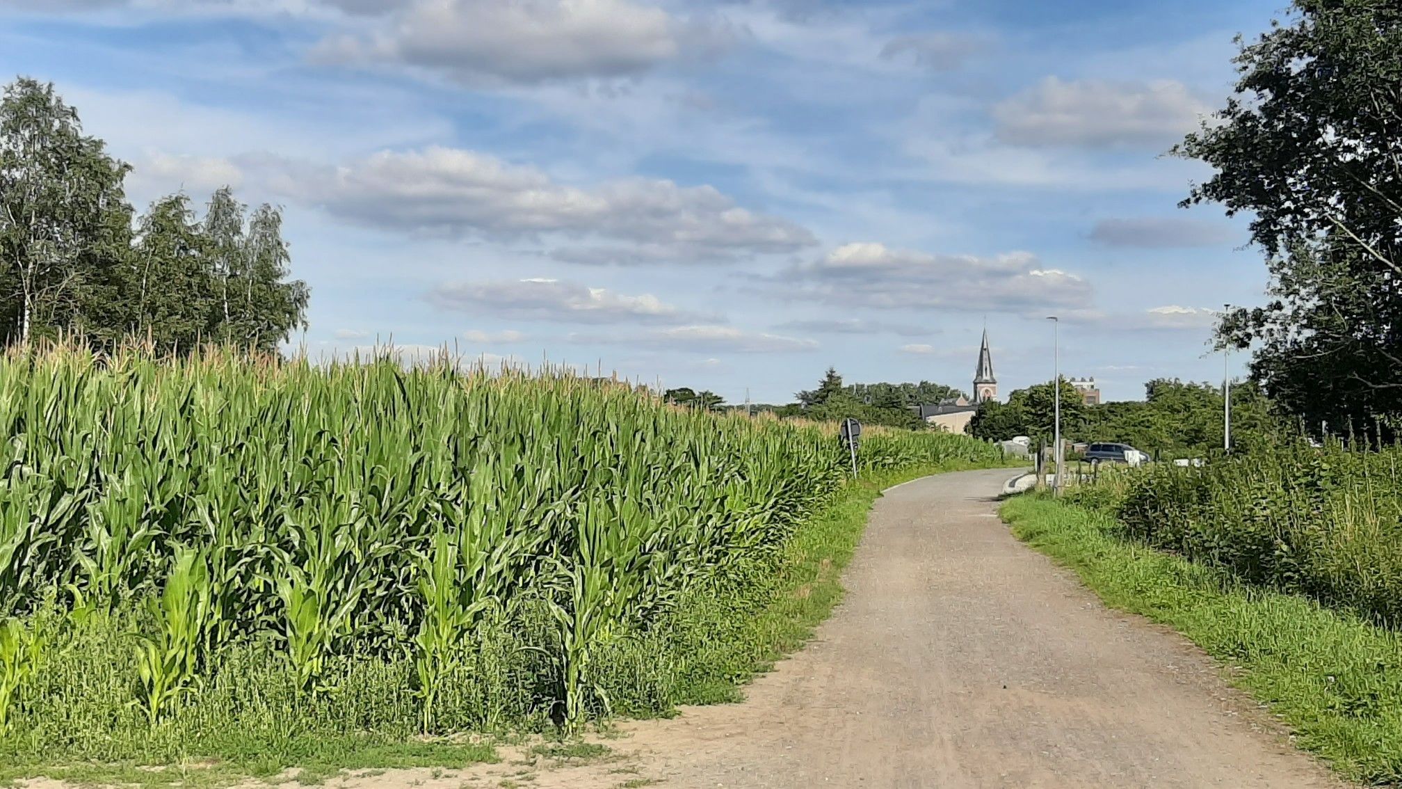 Liezele dorp