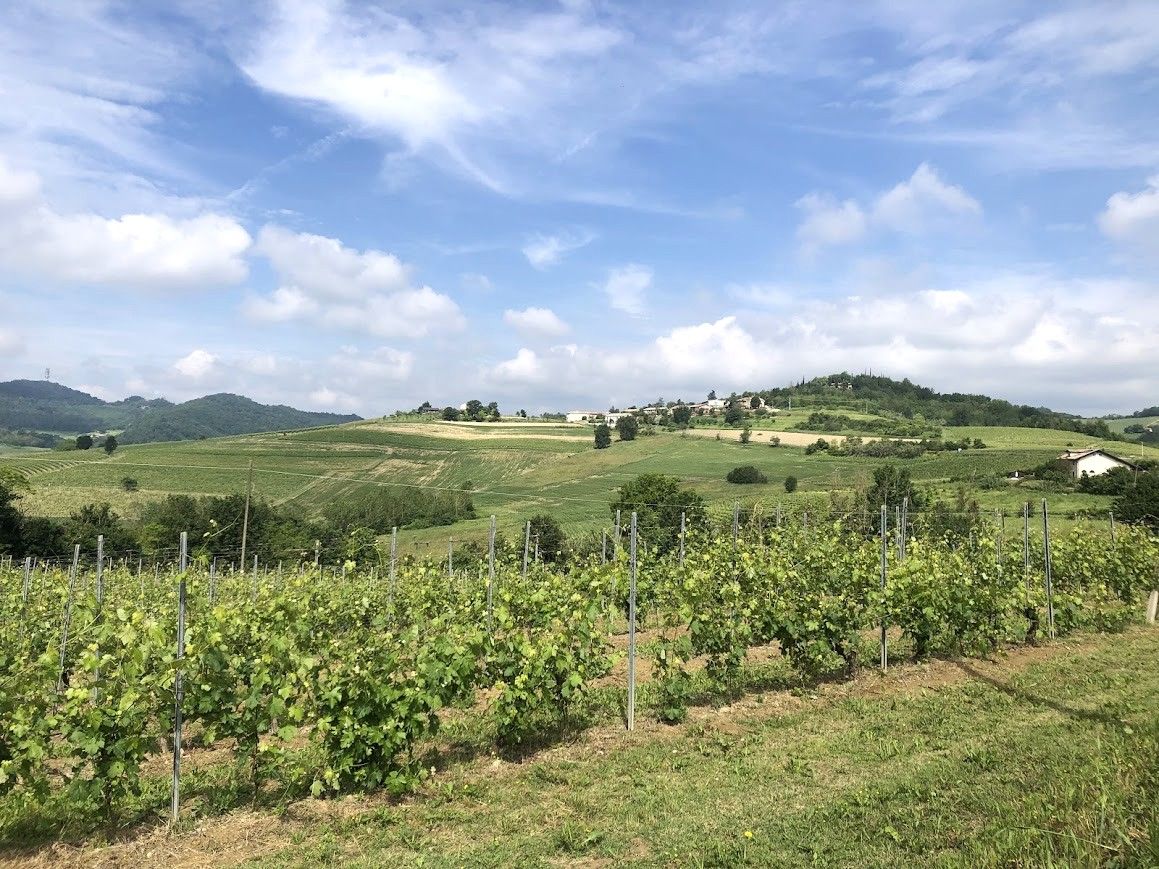 Verso Odalengo Piccolo.