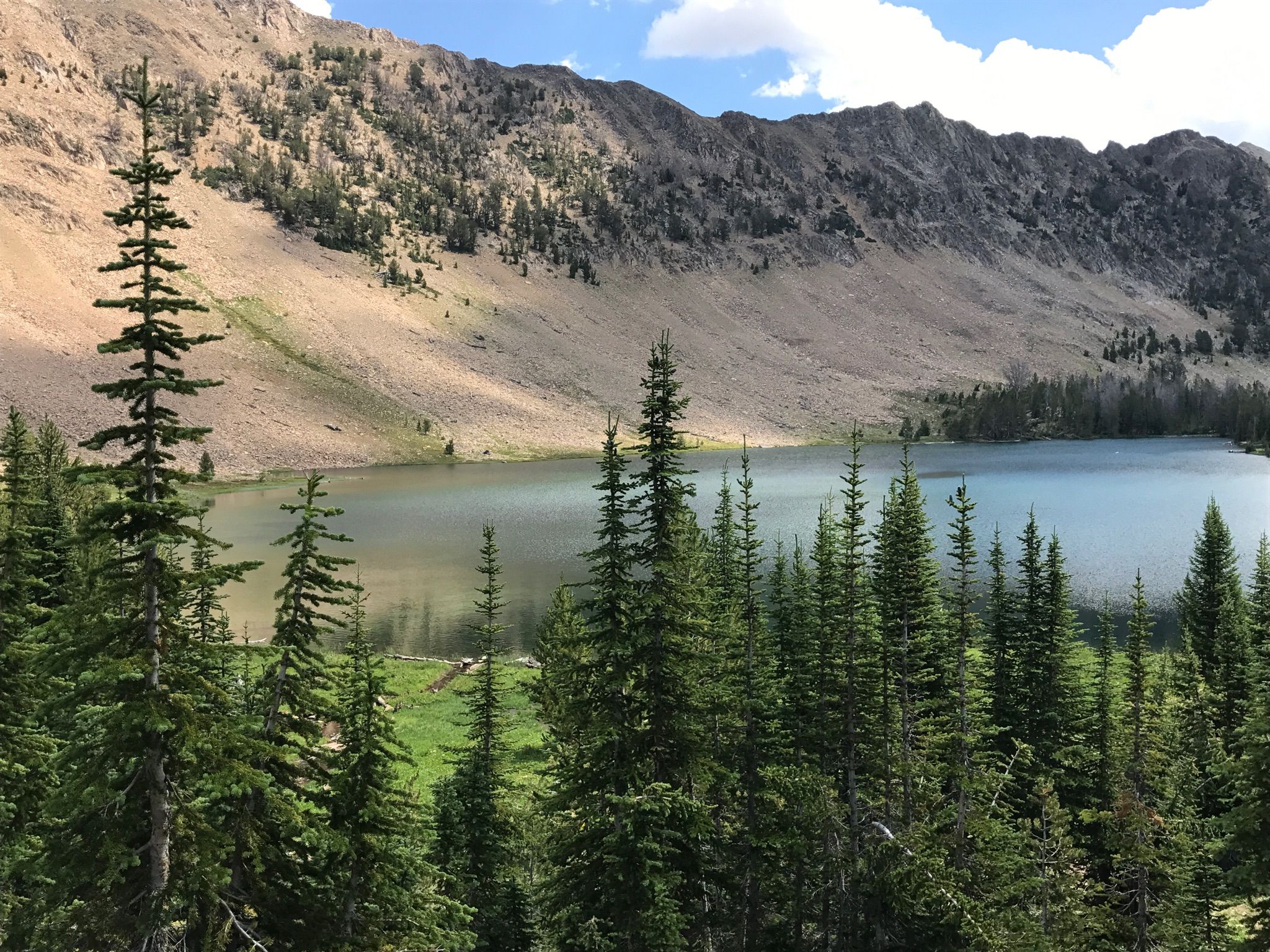 Alpine lake surrounded by green pine trees and rocky mountains under a sunny sky. - Washington Lake