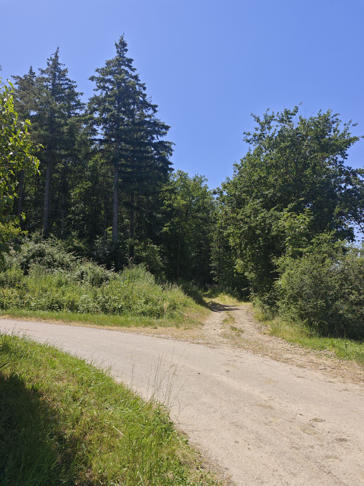 2 choix de chemin