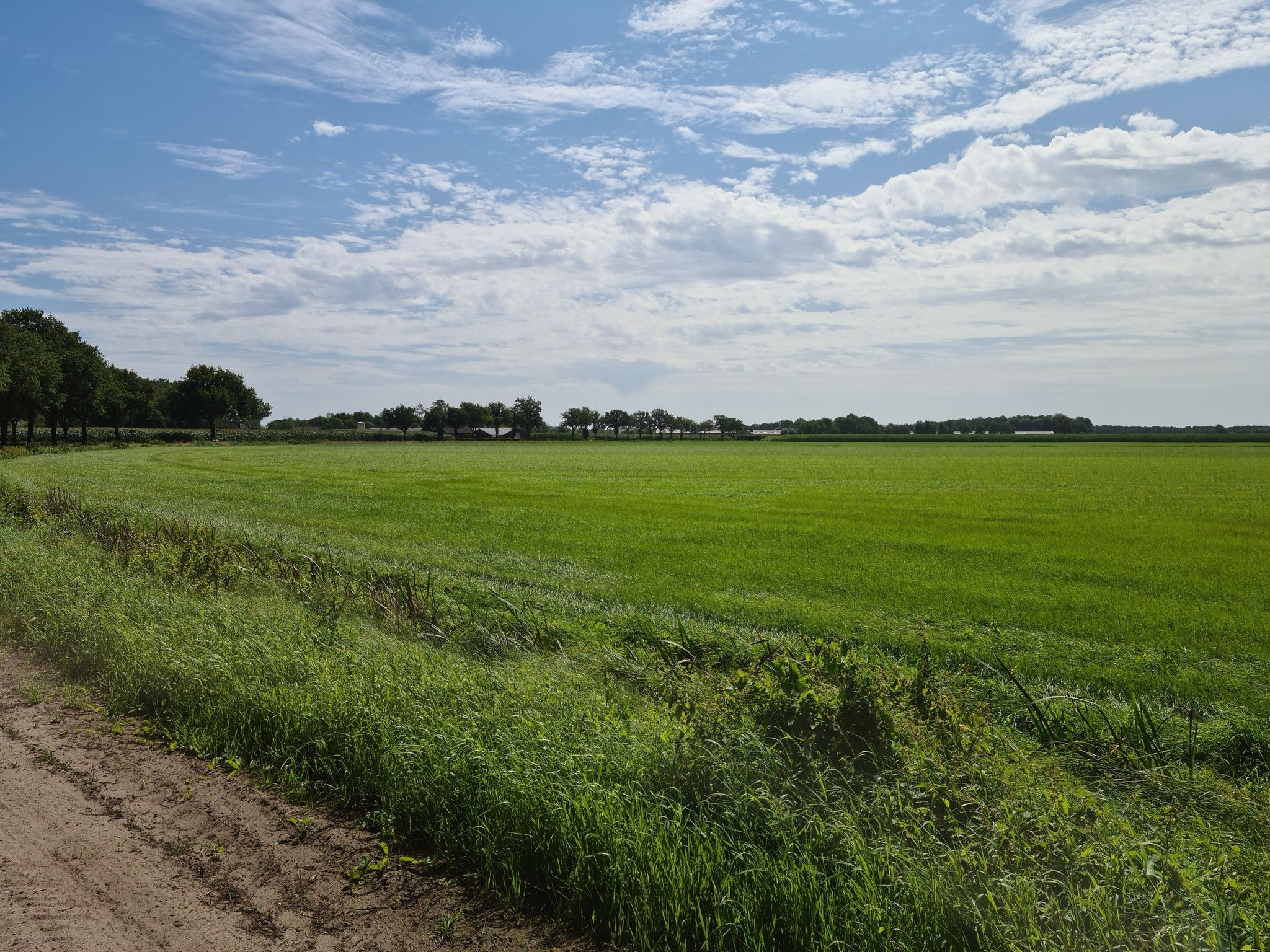 Leende buitengebied