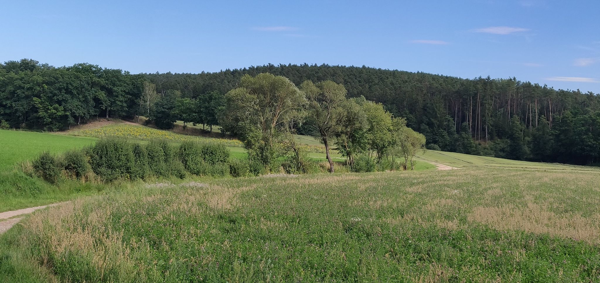 Blick zurück