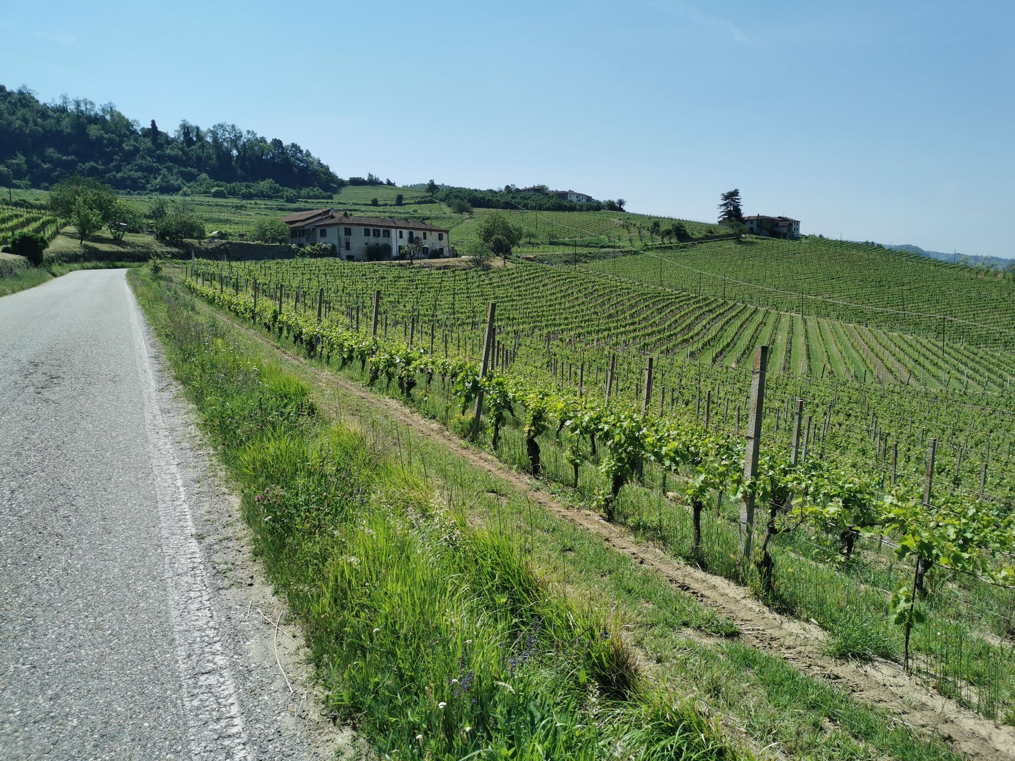 Verso Castinosu strada zitta