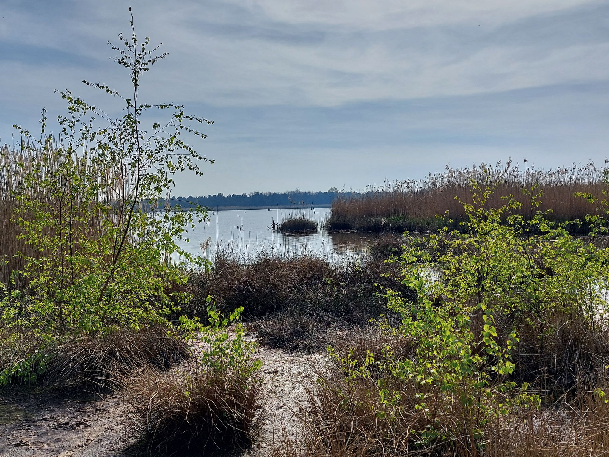 See bei Petersroda