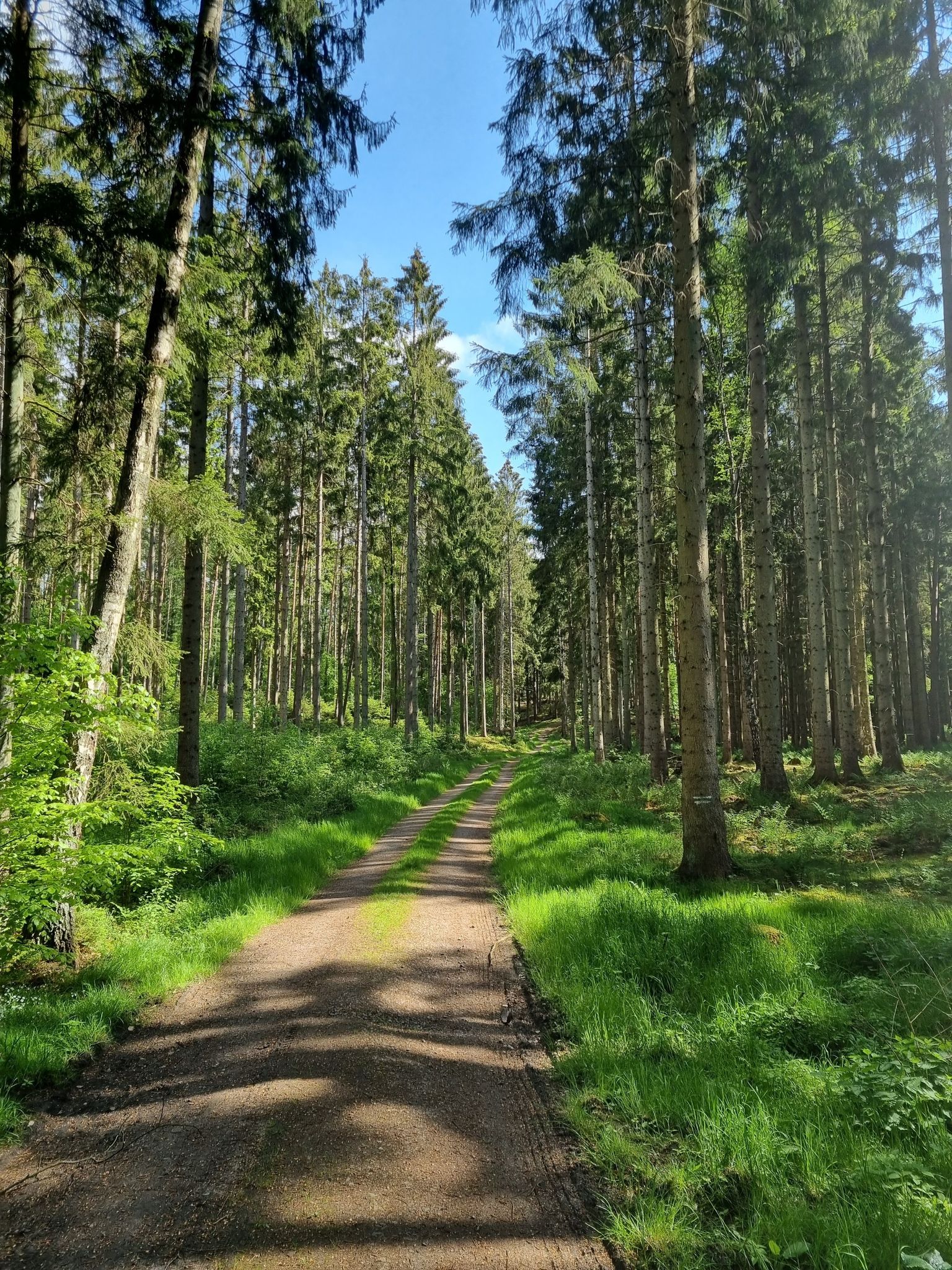 Endlich in der Natur!