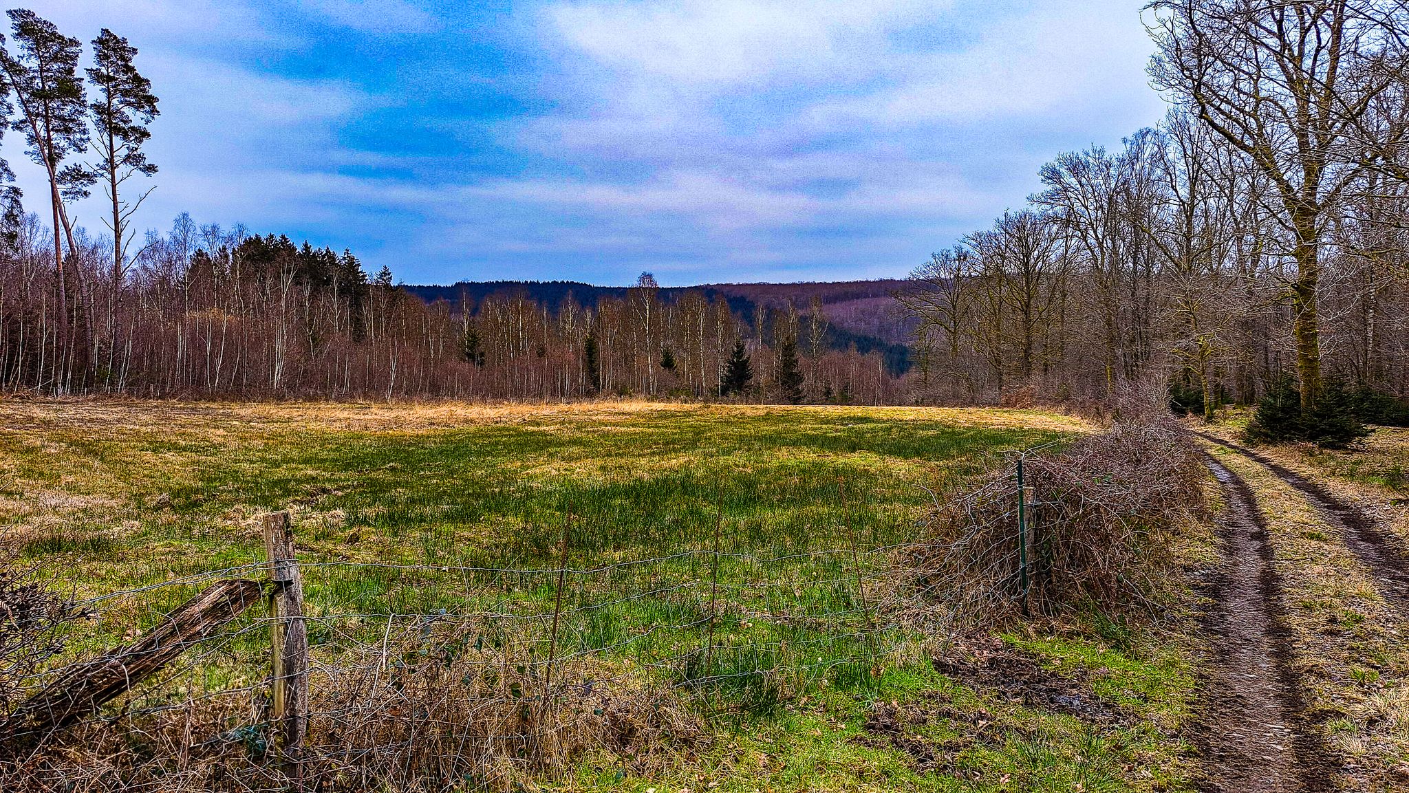 Panorama Orlinfagne