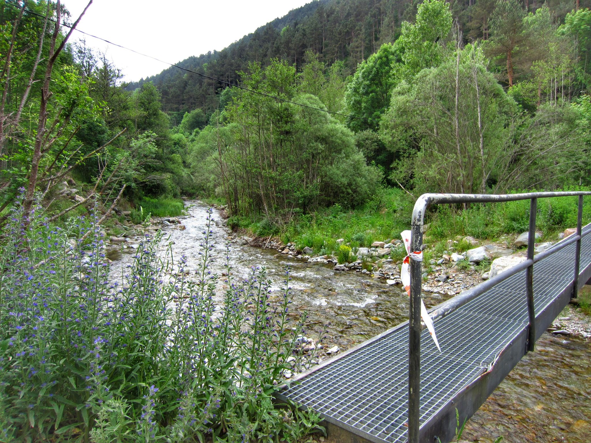 Pont sobre el Reguard