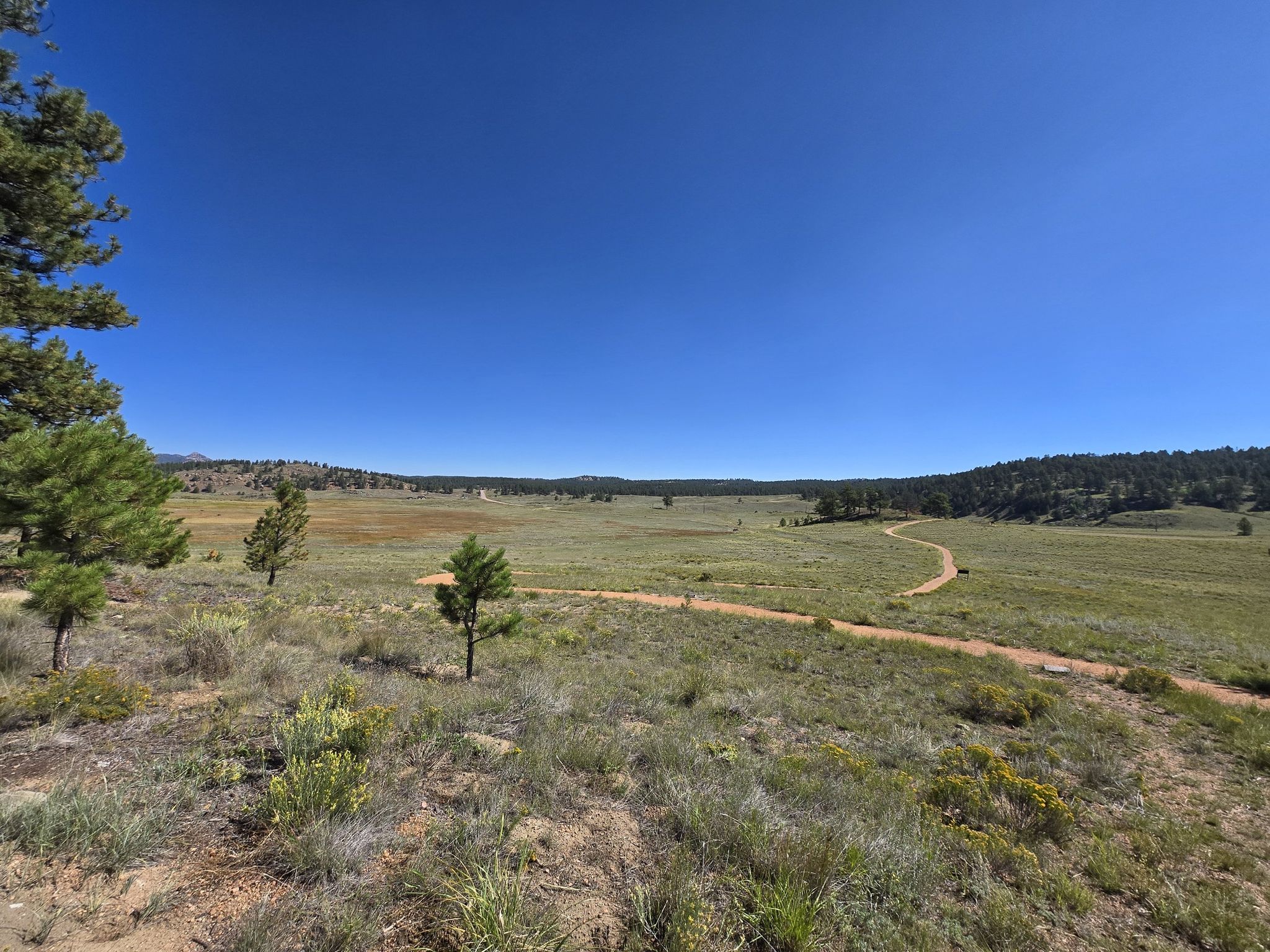 A wide, sunny, grassy field with a winding dirt path and distant trees. - Hornbek Wildlife Loop