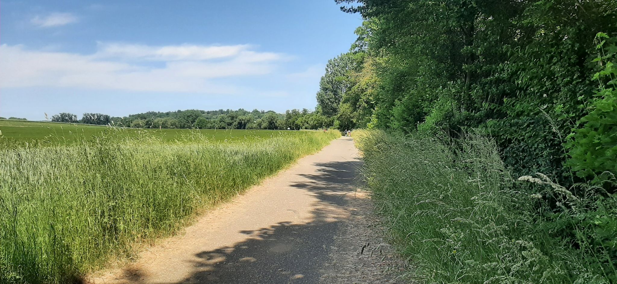 Auf dem Sulmtalradweg Richtung Neckarsulm