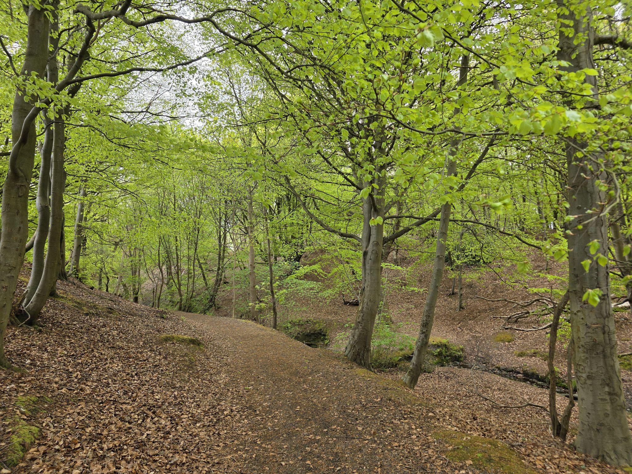 East Burn den