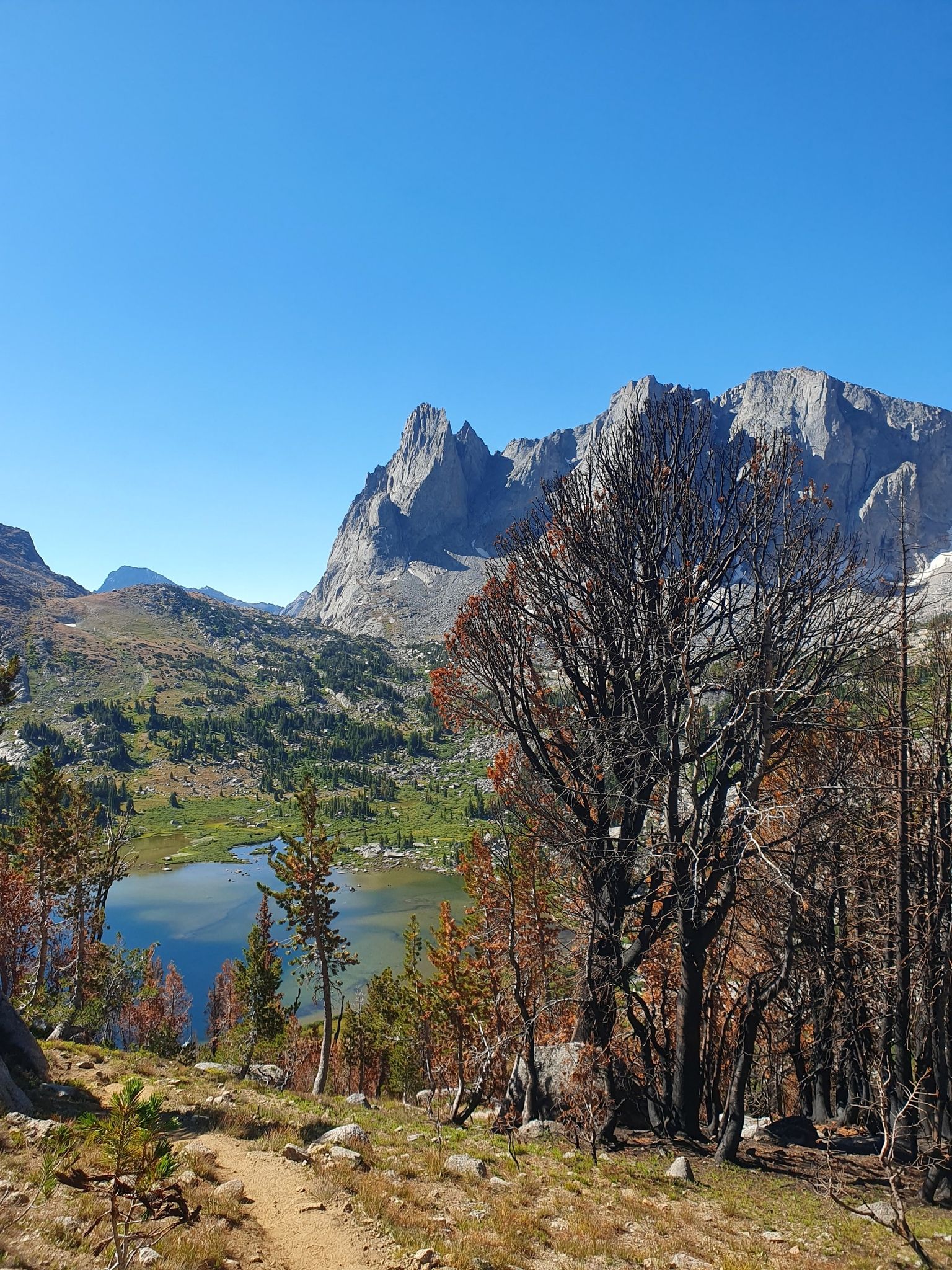 A scenic lake and rugged mountains viewed through a foreground of burnt trees. - Cirque of the Towers – Lonesome Lake loop from Wolfs Head