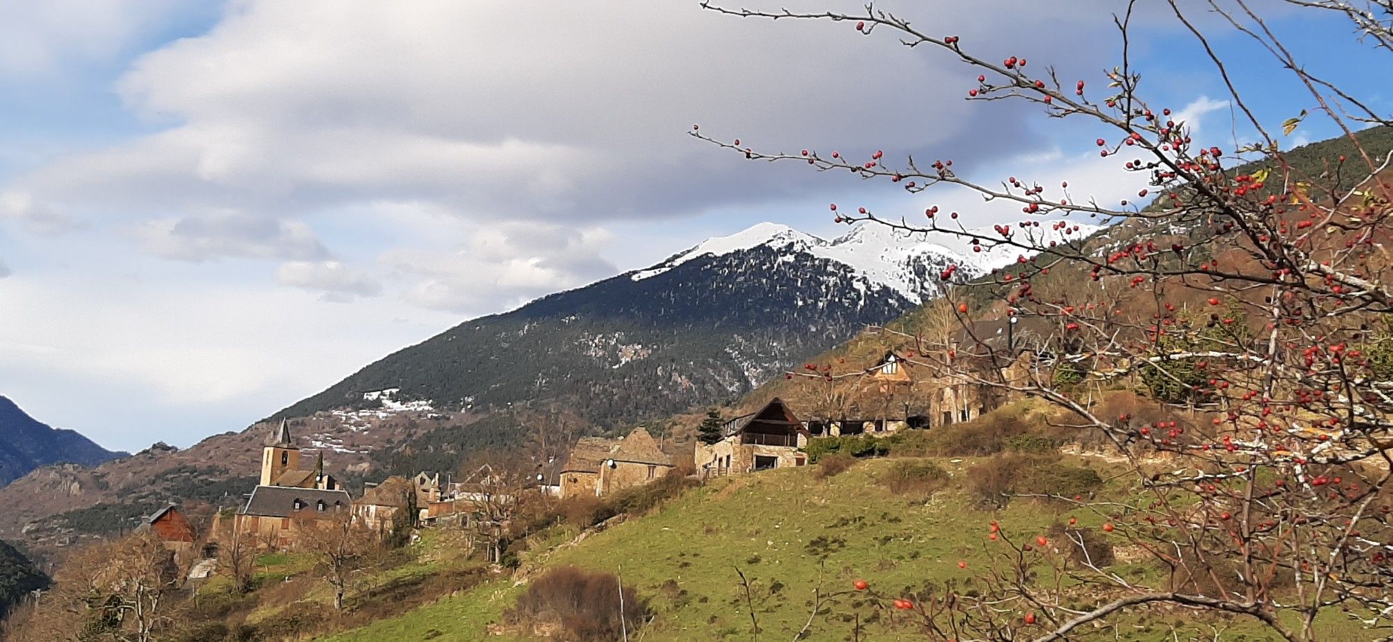 Betlan