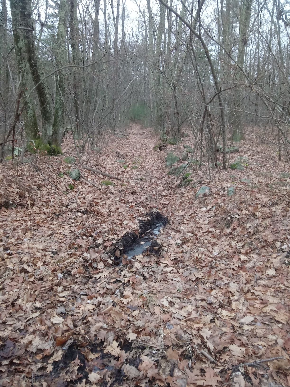 Northern Edge Boundary