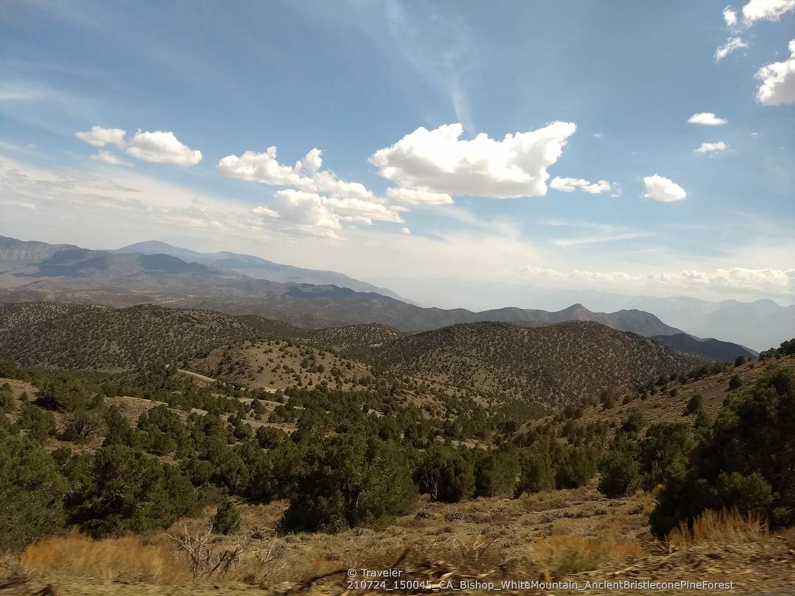 Expansive view of green forested mountains and valleys under a cloudy sky. - Schulman Grove Visitor Center via White Mountain Road