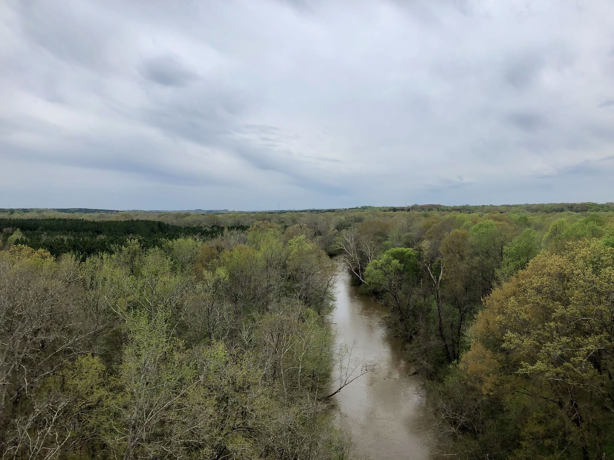 A winding river through a dense green forest under a cloudy sky. - High Bridge Trail – High Bridge Station loop from Rice