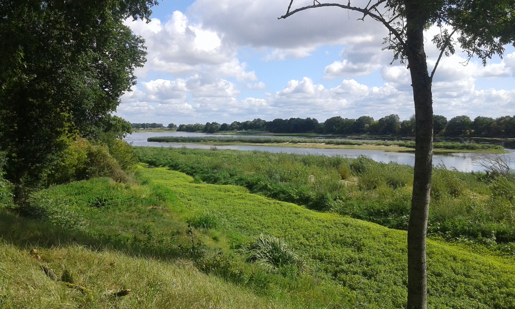 Flusslandschaft der Loire