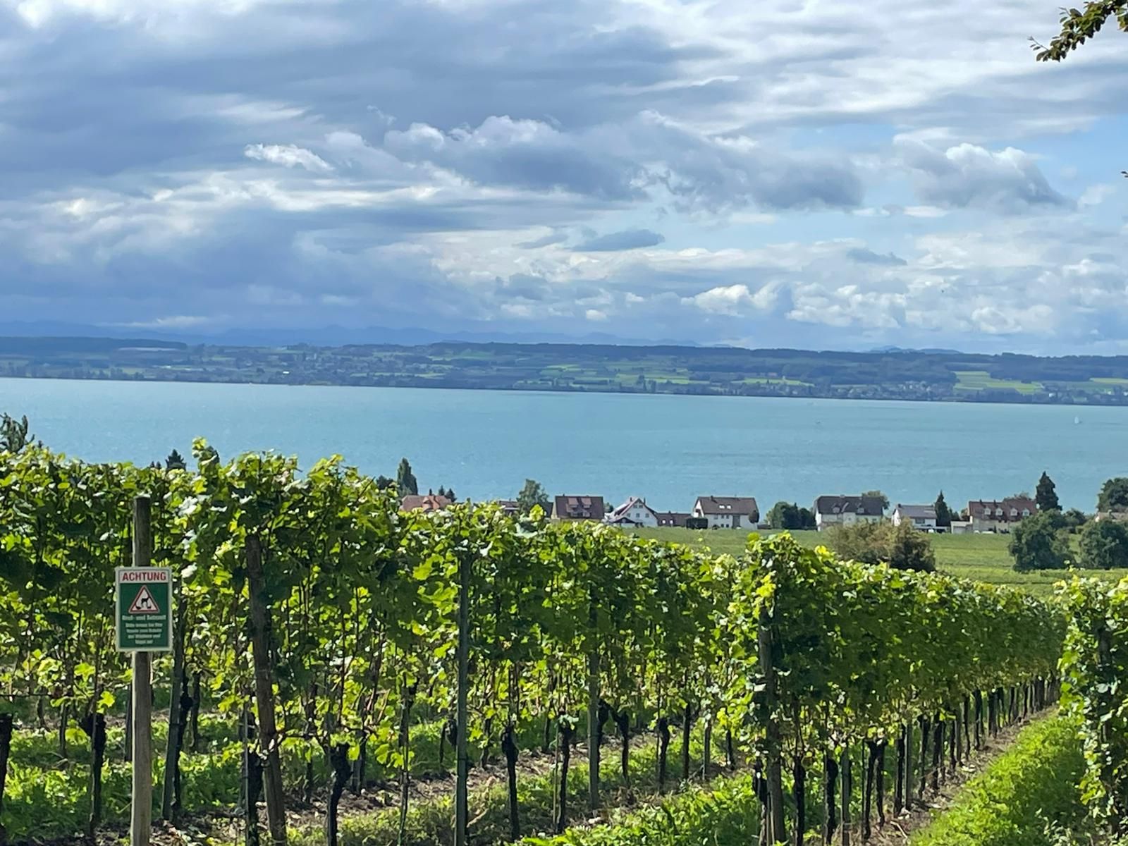 Blick auf Hagnau
