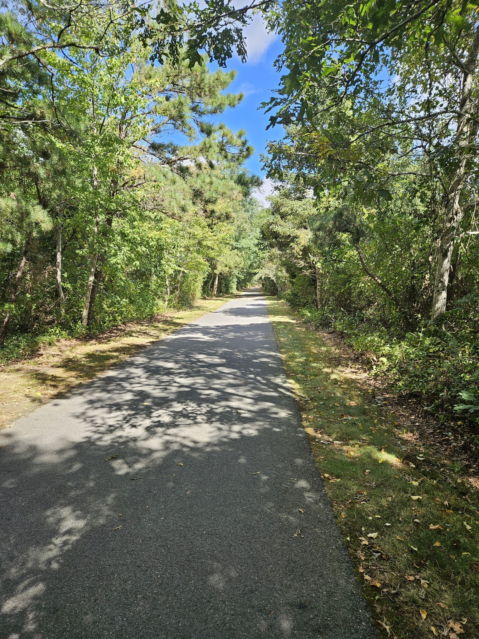 Beautiful trail!