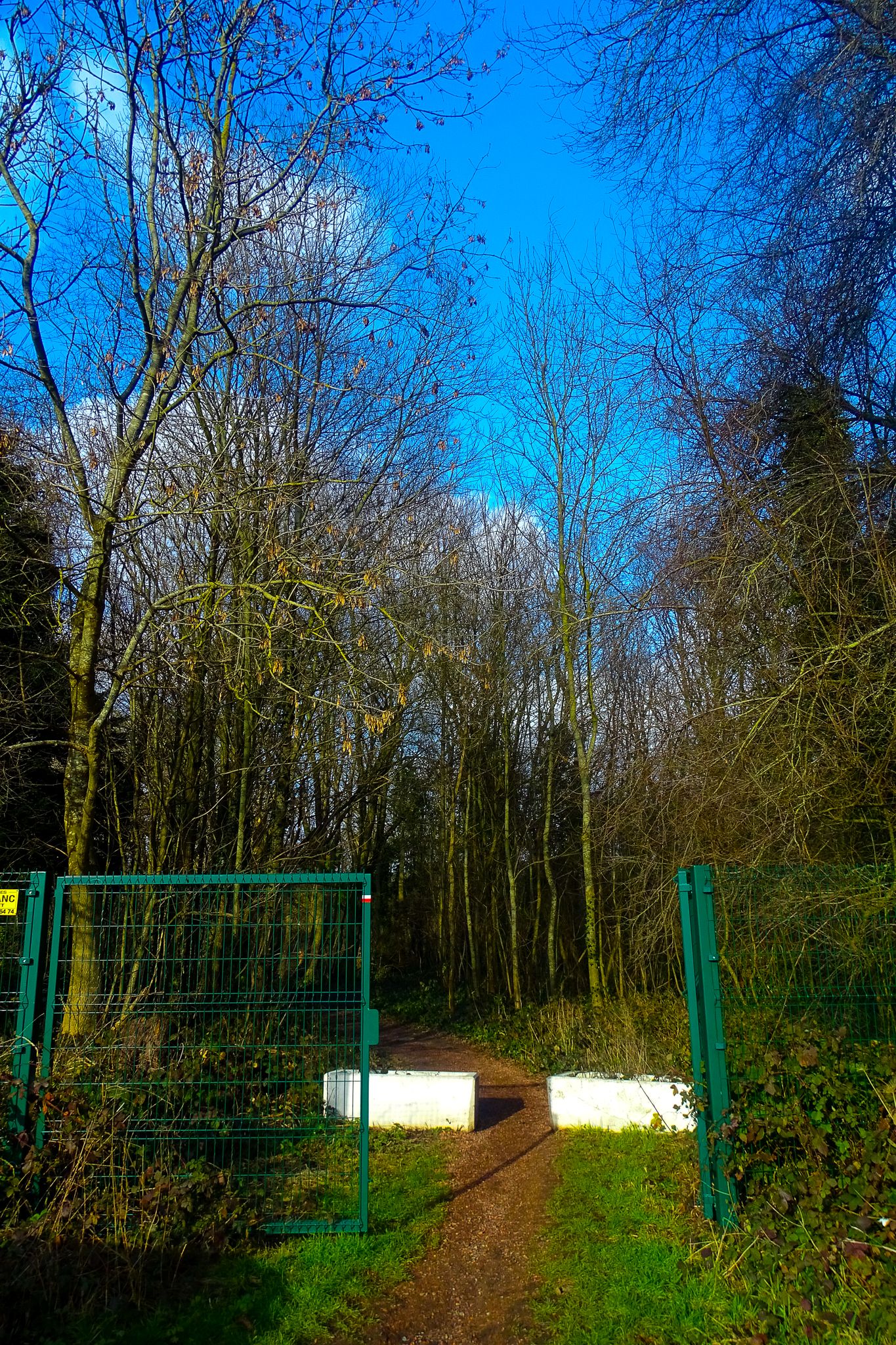 Le Ptit Bois de Mont-sur-Marichienne