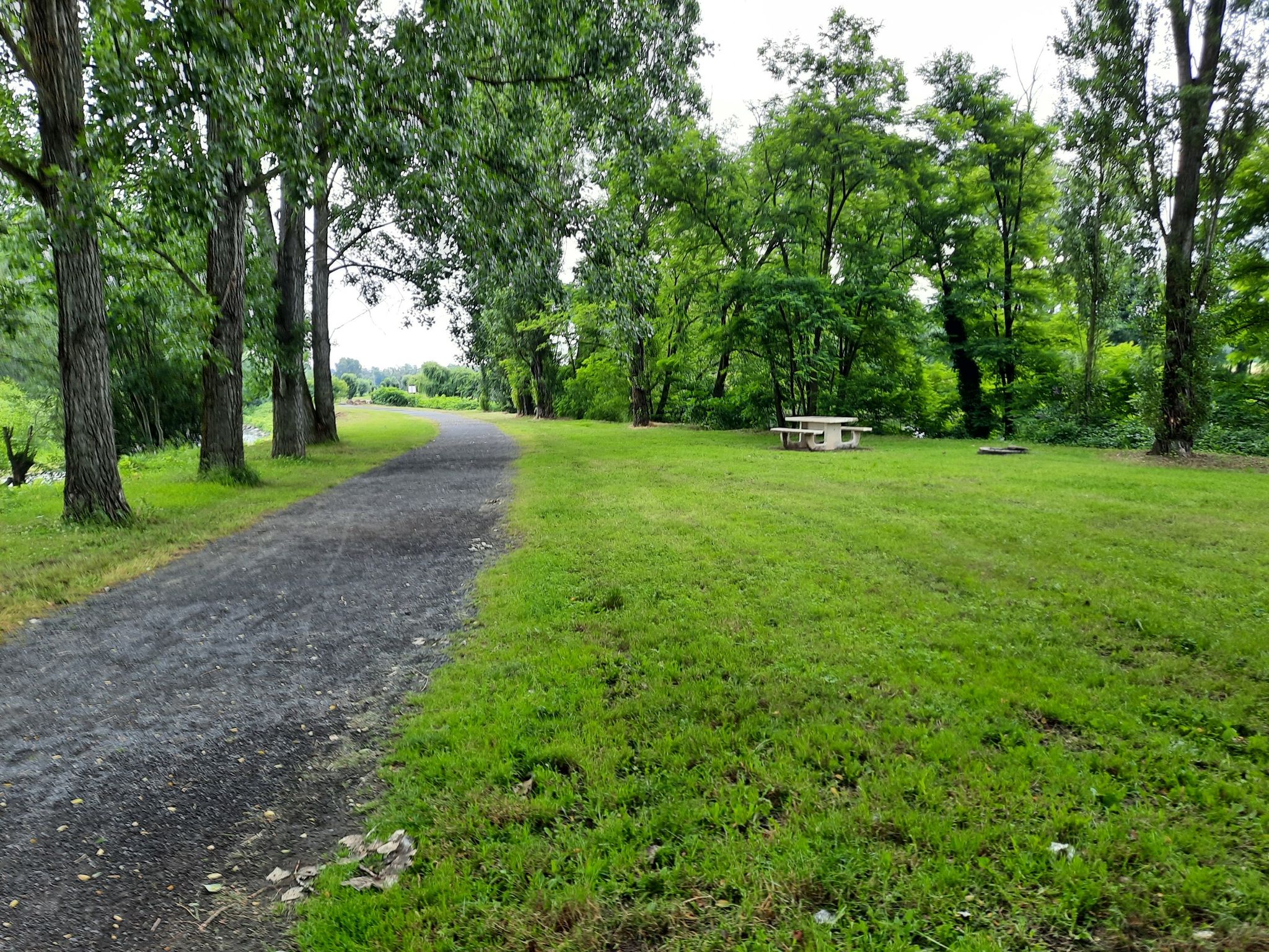 Veloweg von km 8,5 bis 16,4