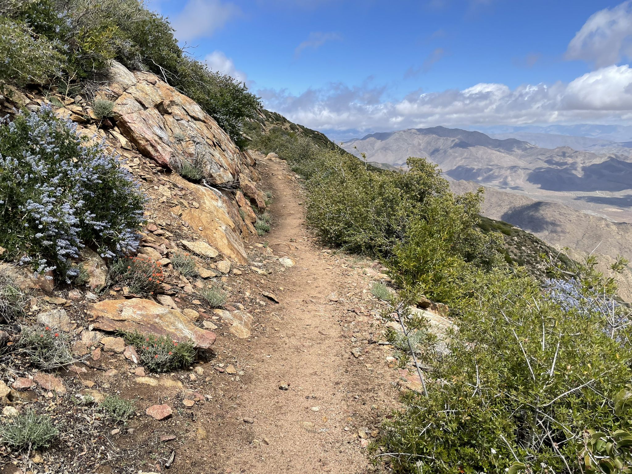 Dirt trail winding along a rocky, brush-covered mountain slope under a cloudy sky. - Laguna Mountain Ridge via the PCT