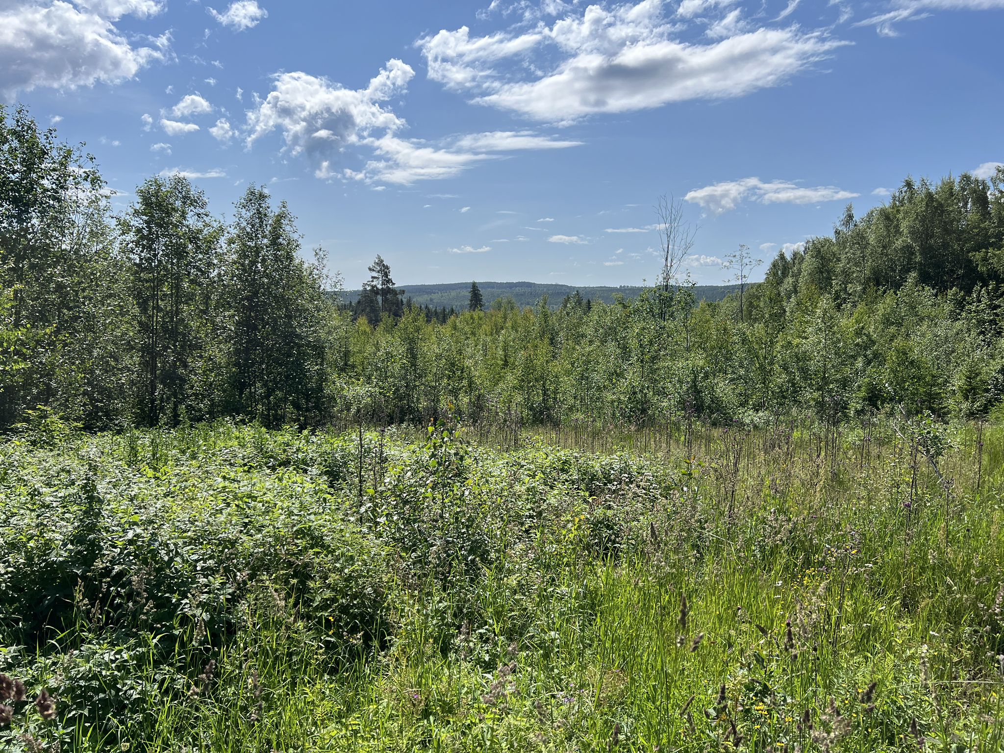 Wegstrecke nach Sundborn