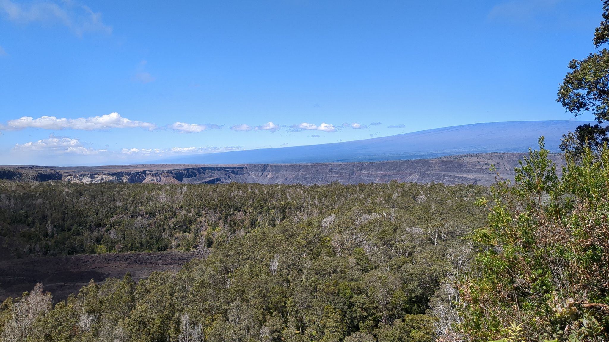 Expansive view of a vast green forest and distant blue mountains. - Kīlauea Overlook – Kīlauea Caldera North Overlook loop from Kīlauea Iki