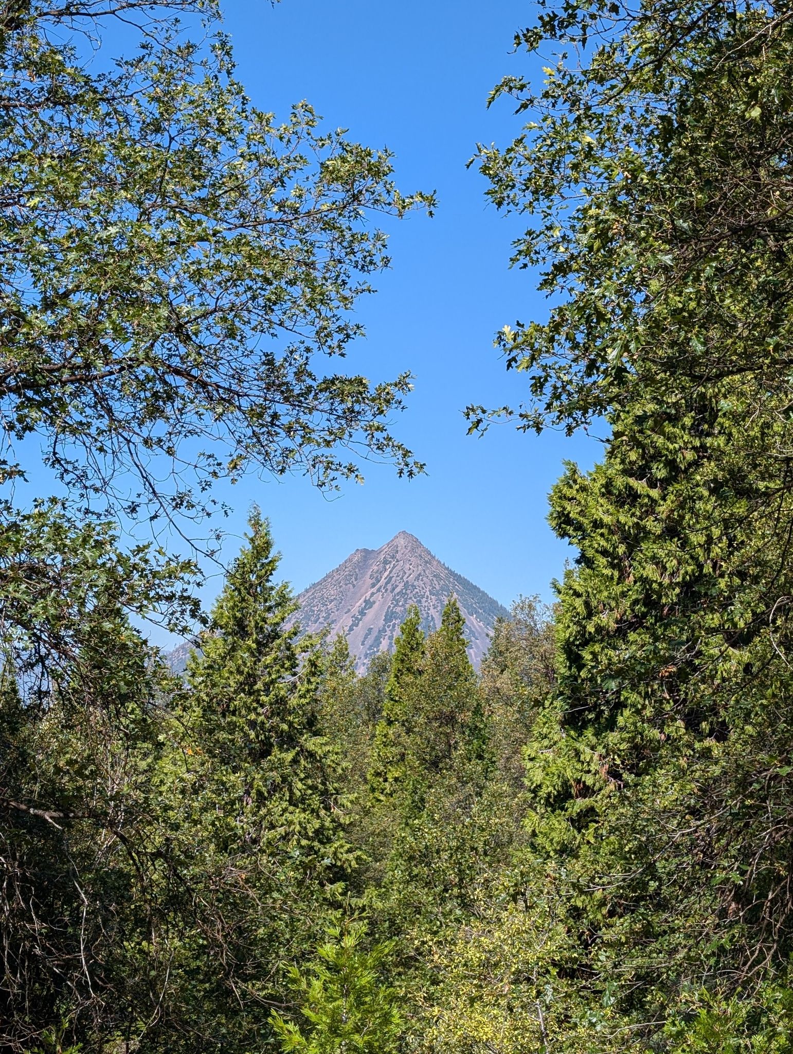 A pointed mountain peak is framed by lush green trees under a blue sky. - Pig Farm Trail loop from Gateway Trailhead