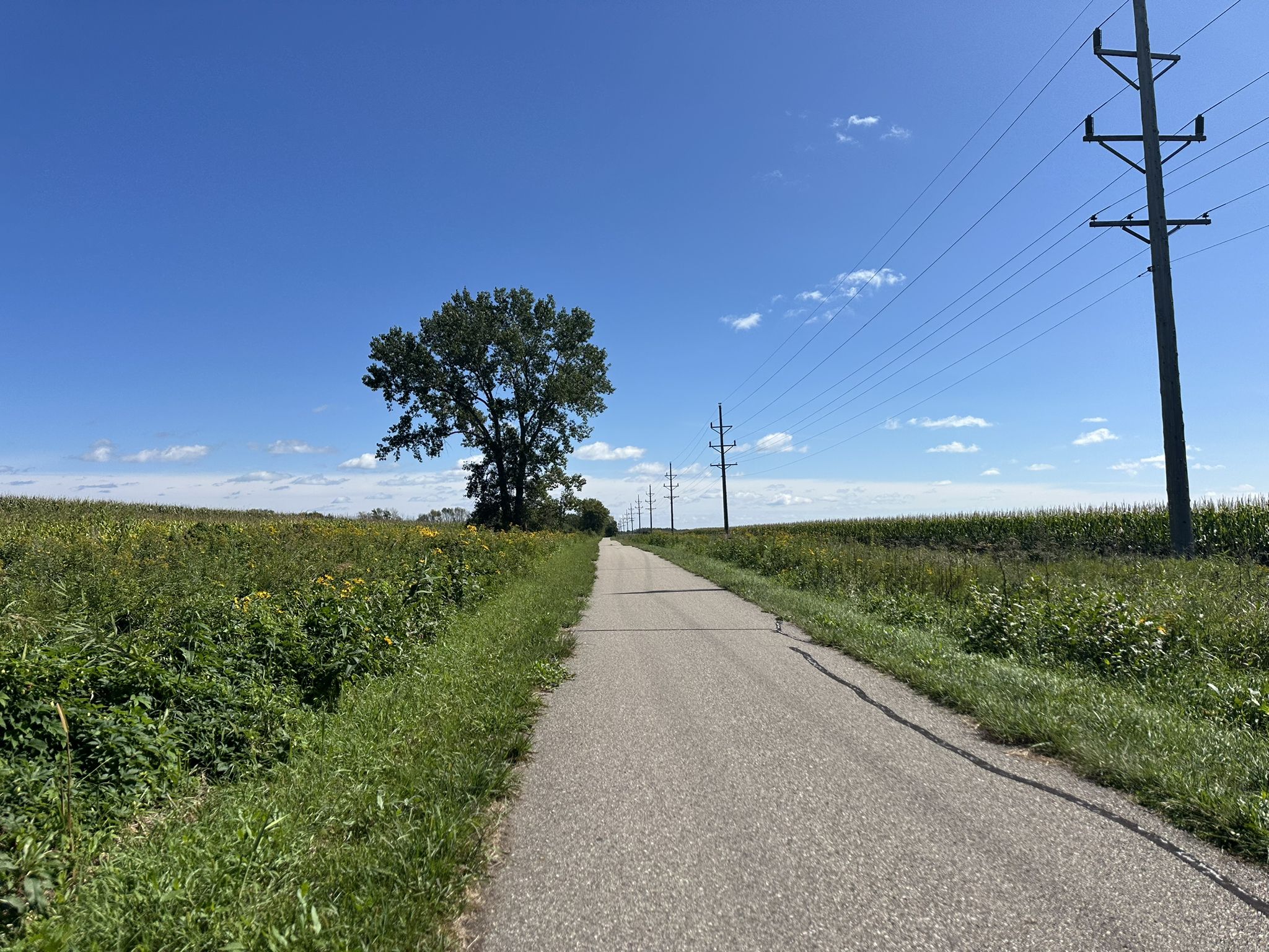 Paved path through fields with power lines under a blue sky. - The Anchor Bar and Grill loop from River Hills Mall