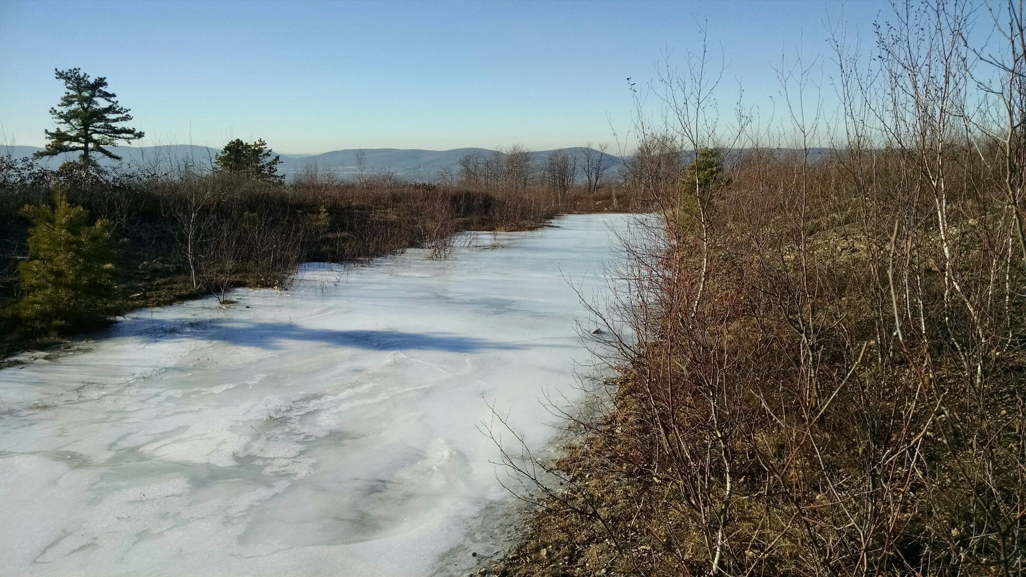 Icy path through sparse winter vegetation under a clear blue sky. - O'Conner Reservoir loop from Dick & Nancy Eales Preserve at Moosic Mountain