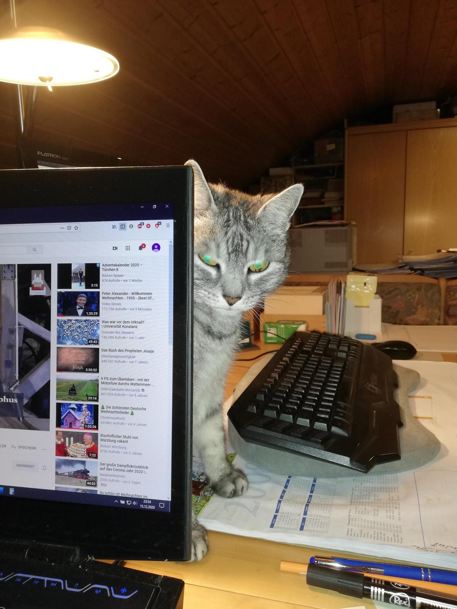 user avatar